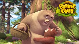 Boonie Cubs 【EP25】  The Family Visit Cartoon [upl. by Ndnarb]