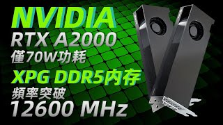 NVIDIA正式發布RTX A2000顯卡，功耗僅70W！威剛發布迄今最快DDR5內存，頻率突破12600 MHz「超極氪」 [upl. by Ritch]