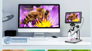 Top 5 Best Digital Microscope [upl. by Rebeh8]