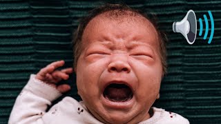 Baby Crying Sound Effect 1 Hour Loud Cry [upl. by Anahcar]