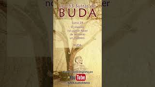 Buda  Sutra 34 Del Audiolibro Los 53 Sutras de Buda [upl. by Ednew]