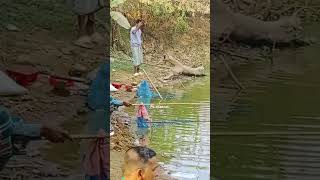 Hooking fish shortvideo subcribemychannal foryouforyoushortvideofishing [upl. by Oyam]