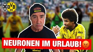 Wenig Synapsen im Nordmende Helm  Gladbach  Borussia Dortmund 12 🖤💛 [upl. by Nwatna]