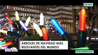 Lo viste aquí Árboles de Navidad más relevantes del mundo  Vitrina 021224 [upl. by Siulesoj]