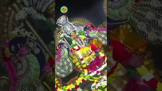 Mecheri bhadrakaliyamman Today Alangram mecheribhadrakaliyamman ammanstatusvideo mecheri amman [upl. by Regdirb259]