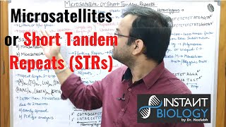 Microsatellites or Short Tandem Repeats STRs [upl. by Procter]