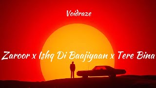 Voidraze  Zaroor x Ishq Di Baajiyaan x Tere Bina [upl. by Nerot]