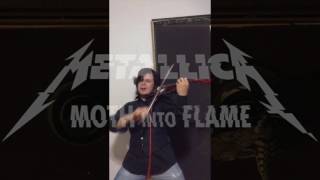 Metallica Moth Into Flame Violin Cover [upl. by Aihsekram]