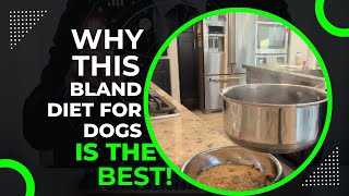 Review amp Demo of Bland Diet for Sick Dogs [upl. by Alaehs540]