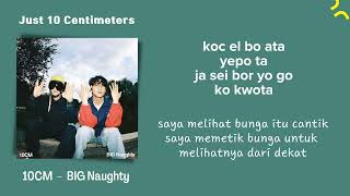 Just 10 centimeters BIG NAUGHTY BOI 서동현 amp 10CM Easy LyricsINDO SUB [upl. by Ulland]