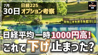 【日経225オプション考察】730 日経平均 一時1000円高！ これで下げ止まったと考えていい？ [upl. by Humfrid]