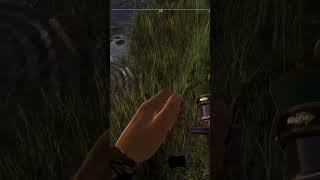 Fishing Planet  new record 💪😁 shortvideo gaming fishing shorts short [upl. by Katharina588]