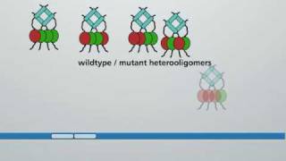 Molecular action of p53 in carcinogenesis [upl. by Pearle132]