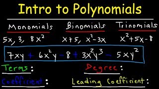 Polynomials  Classifying Monomials Binomials amp Trinomials  Degree amp Leading Coefficient [upl. by Leahcimluap]