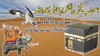 Story Of Ababbel Birds Ababeel Save Kaba urdu stories  islamic stories [upl. by Ninon]