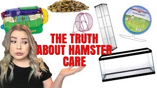 THE TRUTH ABOUT HAMSTER CARE  HAMSTER MISCONCEPTIONS [upl. by Van]