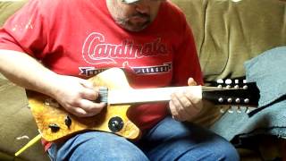 8 string electric MandoBird [upl. by Nollie]