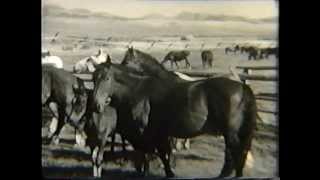 Donovan Ranch 1920s Montana Part 2 [upl. by Dorcea]