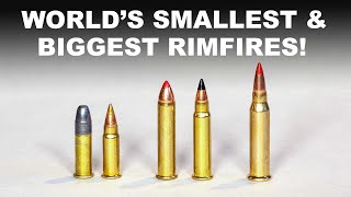 Worlds Smallest amp Biggest Rimfires — 17 and 22 Calibers [upl. by Thetos]