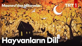 Hayvanların Dili  Mesneviden Hikayeler 7 Bölüm [upl. by Constantine419]