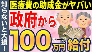 【老後医療費】政府から全ての国民へ100万円の給付！申請すれば貰える医療費給付金・助成金について徹底解説 [upl. by Kale]