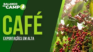 BRASIL EXPORTA 473 MILHÕES DE SACAS DE CAFÉ NA SAFRA 2324 [upl. by Desirea791]