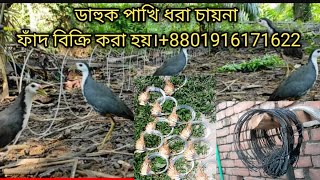 ডাহুক পাখি ধরার ফাদ তৈরীর পদ্ধতি।How to make Gallinule bird trapdahuk pakhir fadজাংগীফাদshort [upl. by Nauwtna220]