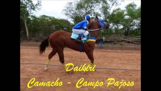 Tiguipa  Daikiri Special vs Golden Demi [upl. by Chick]