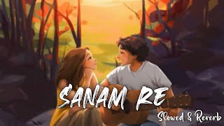 Sanam Re Slowed  Reverb  Arijit Singh  Urvashi Rautela  Lofi Mix Pulkit Samrat SarveshVibes [upl. by Autum]