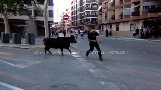 MASSAMAGRELL  V  04052024  Toros cerriles de Fermín Bohorquez y Cortijillo y Especial Benavent [upl. by Bertine]