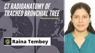 CT TRACHEOBRONCHIAL TREE ANATOMY  RAINA TEMBEY  HRCT CHEST  RADIOANATOMY TRACHEA AND BRONCHI [upl. by Yenobe]