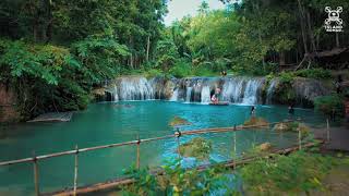 Cambugahay Falls Siquijor Island [upl. by Ayotol871]