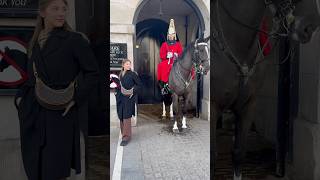 King’s Guard Horses what a warm look ❤️❤️ royalguards horse viralvideo london shorts [upl. by Otrebmuh447]