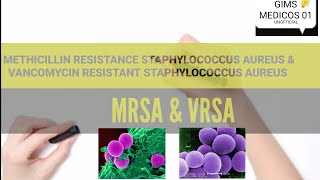 MRSA amp VRSA CONCEPTS staphyloccus aureus [upl. by Belamy685]