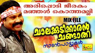 Kalabhavan Mani Hits  Chalakkudikkaran Changathi  Latest Malayalam Nadanpattukal [upl. by Faulkner347]