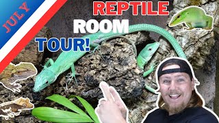 HUGE CHANGES Reptile Room Tour July 2024 [upl. by Aicilic]