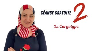 Seance 2 Le caryotype [upl. by Linetta]