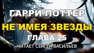 Не имея звезды  Глава 25  Гарри Поттер аудиокнига Васильев С [upl. by Esahc658]