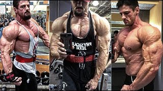 THE MOST AESTHETIC GUY Matt Ramseier Workout [upl. by Anotyal]