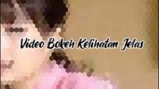 video bokeh blur merekam keindahan bunga siang hari  bokeh no blur cuma rekam pake android vivo [upl. by Nageek]