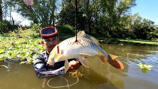 PESCA DE TILAPIAS Y CARPAS EN PRESA CERRÓN GRANDE EN REUBICACIÓN CHALATENANGO [upl. by Kendrick262]