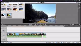 Freeze Frame  Adobe Premiere Elements [upl. by Ireg]