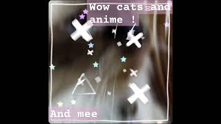 Edits  fun edits catss [upl. by Mick168]