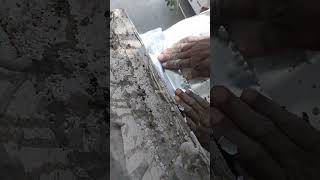 60 Sec Waterproofing Quick Fix Roof shed for Water Leaks amp Waterproofing Solutions [upl. by Twum615]