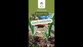 Für einen langen zarten Schaft Porree anhäufeln Garten KompaktTipp Gartenmoni Shorts [upl. by Naashom]