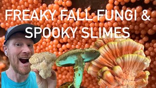 Freaky Fall Fungi amp Spooky Slimes East Coast Edition [upl. by Quinby]