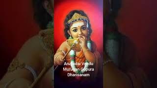 Karthigai DeepamMuruganArupadai Veedu Murugan Gopura Dharisana Kodi Punya shorts whatsappstatus [upl. by Burl]