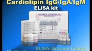 Cardiolipin IgG IgA IgM ELISA kit [upl. by Dombrowski]