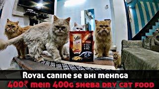 Sheba Dry cat Food review  Can it justifies it’s price  400₹ for 400g  🇮🇳 INDIA [upl. by Reffotsirhc903]