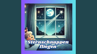 Sternschnuppen fliegen [upl. by Antonio505]